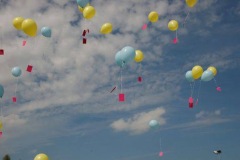 img_1284054988_103