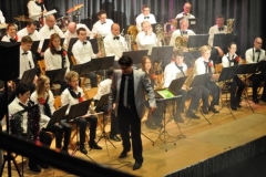 img_1396211067_543