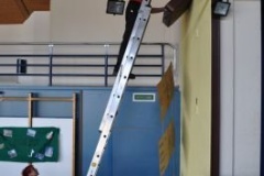 img_1332743175_505