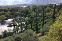 img_1473625376_395