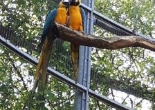 img_1473625390_957