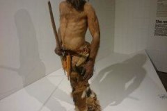 img_1473625397_554