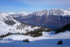 img_1460920666_417