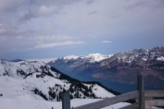 img_1460920745_119