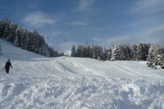 img_1328739177_767